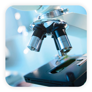 Laboratory